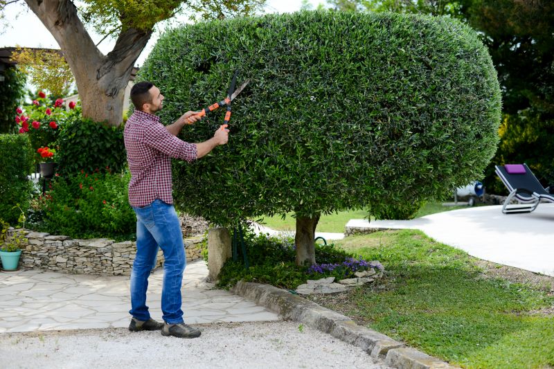Shrub Trimming