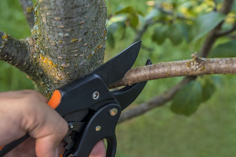 Efficient pruning process