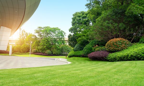 Cost of Commercial Shrub Trimming in Carlsbad