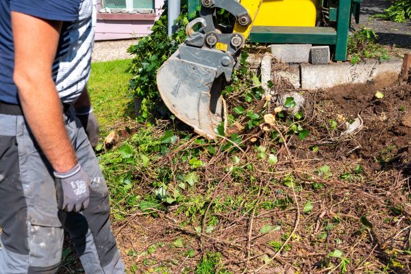 Cost of Hedge Removal Service in Carlsbad