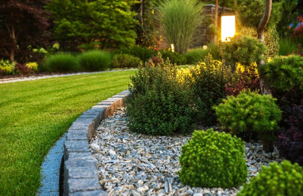Cost of Bush Relocation in Carlsbad