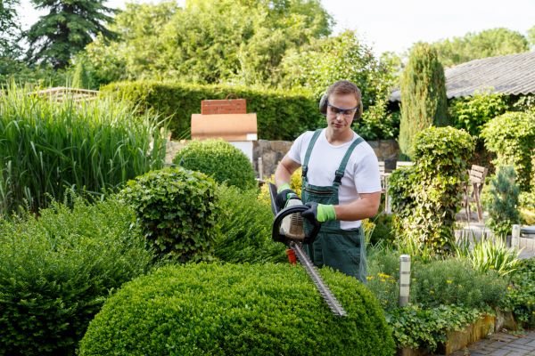 Cost of Shrubs Trimming in Carlsbad